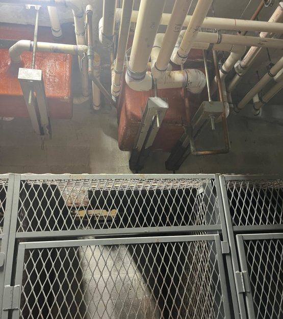 86C4B577-3B79-4109-BF77-D30A4A888962